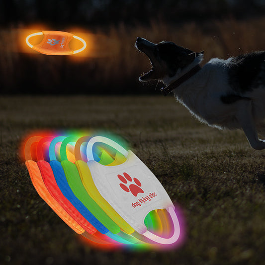 Catch™ LED Rechargeable Frisbee Toy